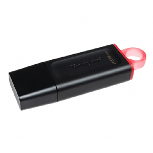 PEN DRIVE 256 GB. KINGSTON DTX USB 3.2
