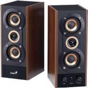 PARLANTES 2.0 GENIUS SP-HF800A WOOD