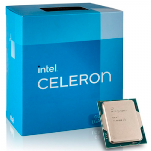 MICRO INTEL CELERON G6900 LGA1700
