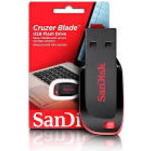 PEN DRIVE 256 GB. SANDISK CRUZER BLADE