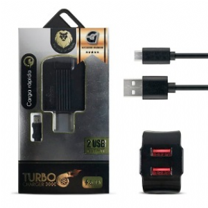 FUENTE 220V USB LYON